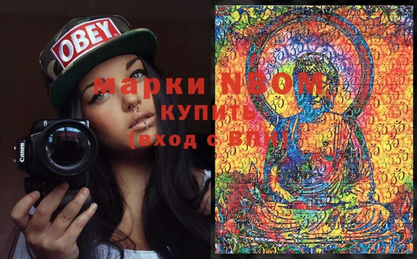 стаф Алексин
