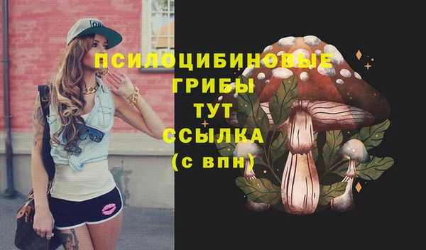 герыч Абинск