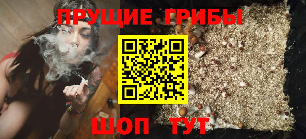 Богородск  Псилоцибиновые грибы Psilocybine cubensis  Вход с VPN 